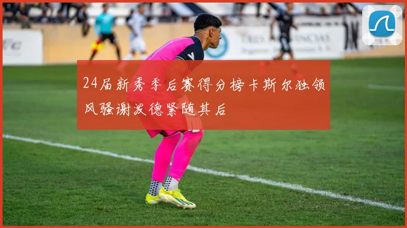 24届新秀季后赛得分榜卡斯尔独领风骚谢泼德紧随其后